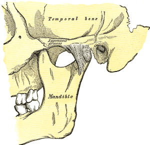 tmj jaw pain clicking jaw Ted