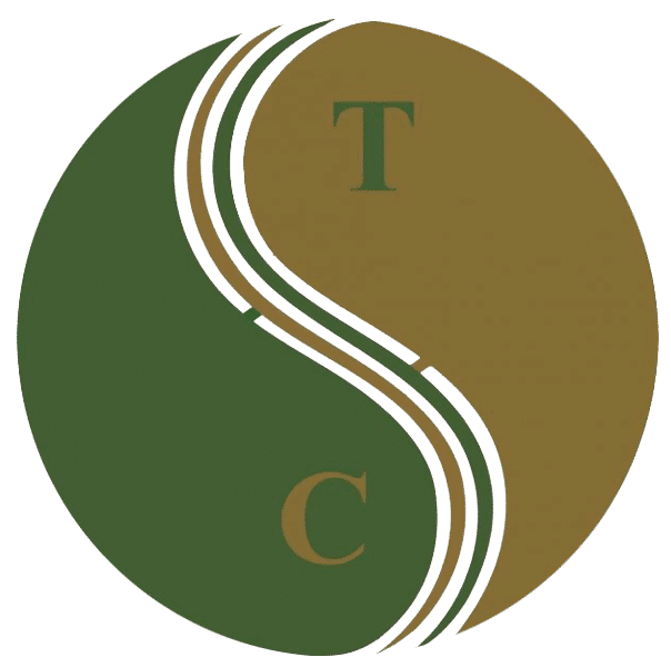 Art of Wellness Acupuncture & Traditional Chinese Medicine (TCM)