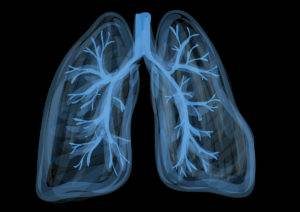 blue image of lungs lungs