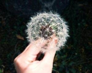 seasonal allergies