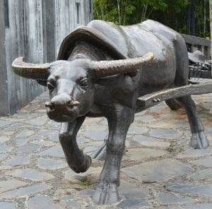 metal ox