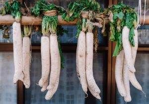 daikon radish