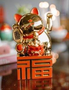 Chinese New Year good luck