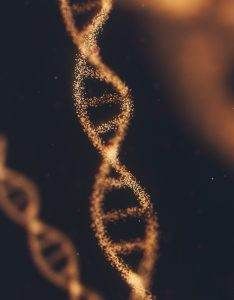 genes DNA Huntington