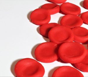 red blood cells