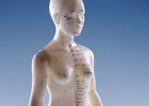 model of woman showing meridians