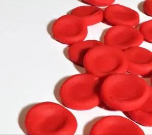 red blood cells