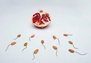 low sperm count, oligospermia, male infertility