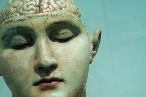 Alzheimer's disease brain