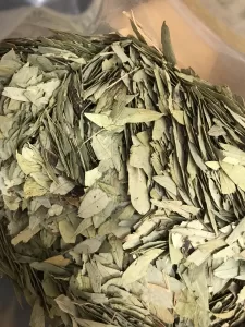Chinese Herbs 
